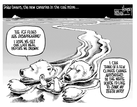 Polar bears do not like climate deniers