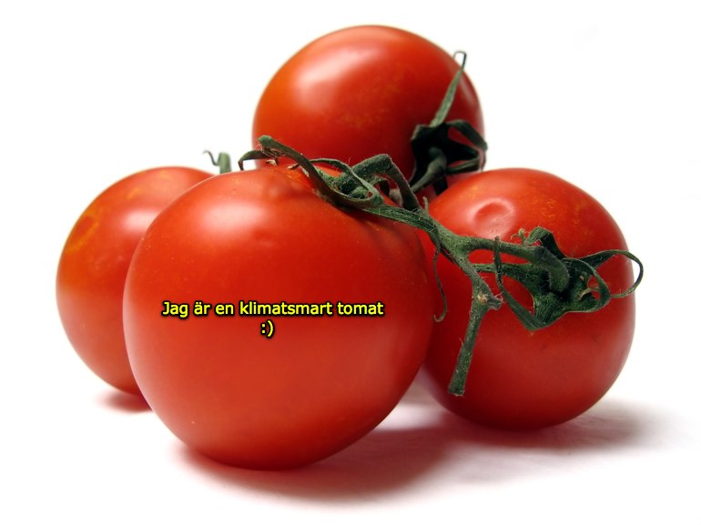tomater klimat
