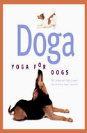doga yoga dogs jennifer brilliant