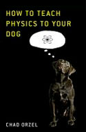 physics dog