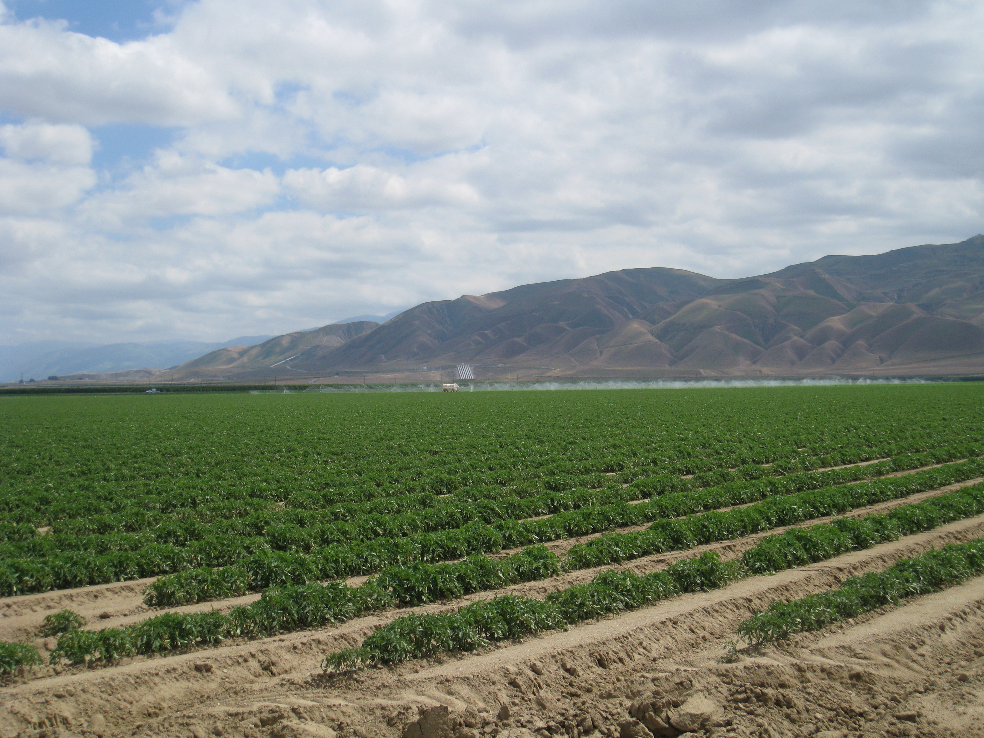 so-central-valley-fields-irrigation-teerink-2-apr-2010