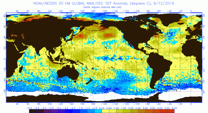 NOAA_SST_ENSO_2016-09-12