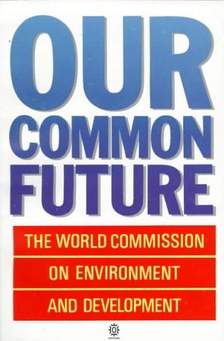 our common future