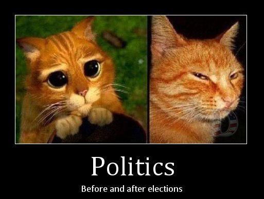 Politics Before and after elections