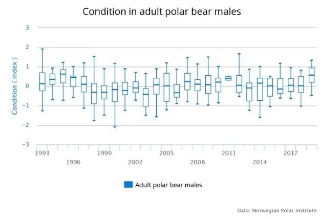 Polar_bear_male_weight